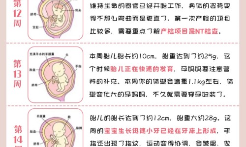 肝肾阴虚可以吃七宝美髯颗粒吗网 | 阴虚可以吃七宝美髯丸吗,阴虚火旺能吃七宝美髯丹吗