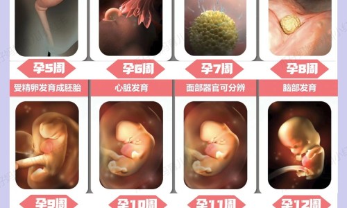 肝肾阴虚可以吃七宝美髯颗粒吗网 | 阴虚可以吃七宝美髯丸吗,阴虚火旺能吃七宝美髯丹吗